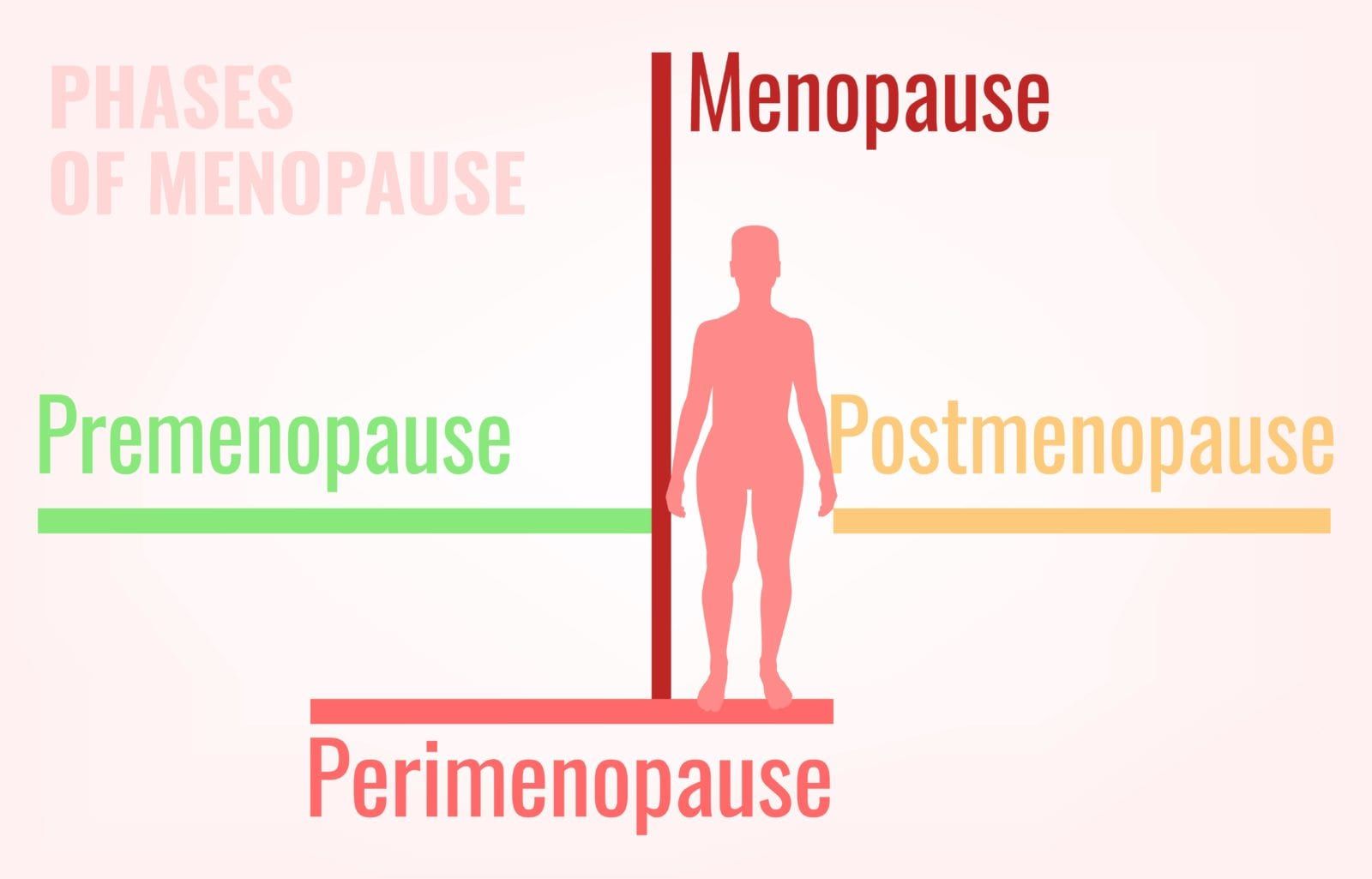 phases of menopause timeline